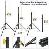LINCO 10ft Adjustable Backdrop Support Stand Kit 10x6.5 Photography Photo Background Support System with Carrying Bag for Photo Party