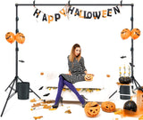 LINCO Photography 10ft Adjustable Photo Backdrop Stand 10x9ft Background Support System Kit with Carry Bag 4154-4236