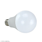 LINCO Lincostore AM243