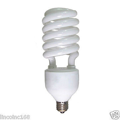 fluorescent light bulbs for photography